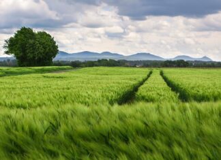Co to są wartości kulturowe? Co to są wartości kulturowe?