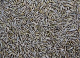 Ile firm w Polsce produkuje innowacje? Ile firm w Polsce produkuje innowacje?