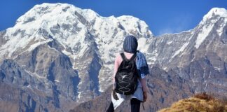 Co to jest rybi szkielet?