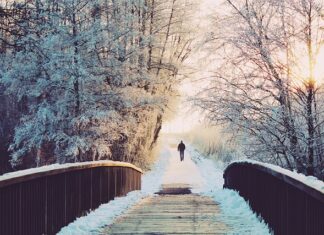 Czy opłaca się przejść na emeryturę i pracować?