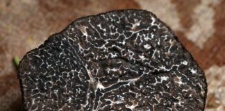 Jakie mieszkania są najbardziej poszukiwane?