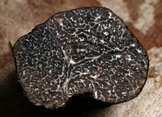 Jakie mieszkania są najbardziej poszukiwane? Jakie mieszkania są najbardziej poszukiwane?