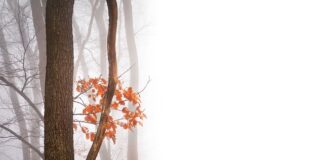 Jakie są negatywne skutki integracji europejskiej?