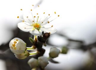 Ile firma dostaje za osobę niepełnosprawna? Ile firma dostaje za osobę niepełnosprawna?