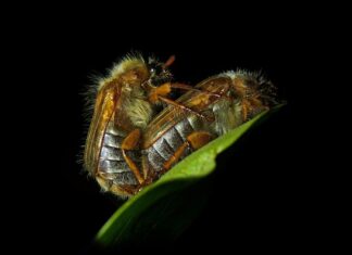 Co oznacza Brownfield? Co oznacza Brownfield?