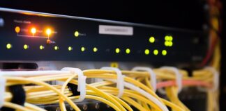 Co można robić w branży IT?