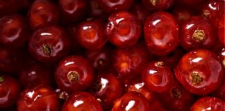 Gdzie najlepiej studiować chemię?