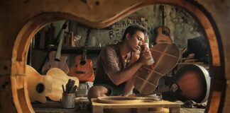 Które urządzenie gromadzi dane z sieci?