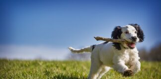 Jak można odzyskać pieniądze z Crypto?