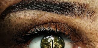 Po czym poznać ucznia zdolnego?