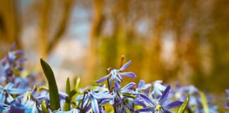 Czy hiszpański jest łatwy dla Polaka?