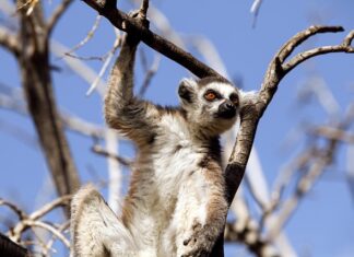 Jaki jest związek kultury i zachowania? Jaki jest związek kultury i zachowania?