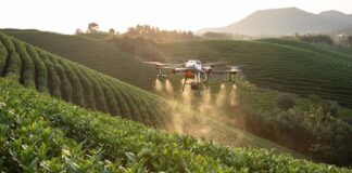 Ile jest systemów operacyjnych?