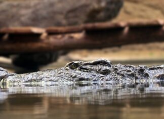 Jakie są zasady savoir vivre? Jakie są zasady savoir vivre?