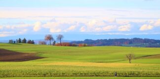 Ile to 12 tys brutto?