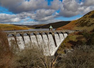 Co oznacza słowo coach?