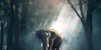 Jakie są środowiska społeczne?