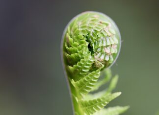 Po co rozwijać kreatywność? Po co rozwijać kreatywność?