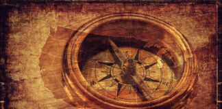 Jaki jest najwyższy stopień studiów?