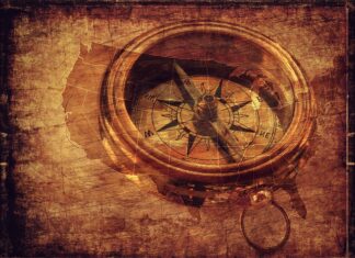 Jaki jest najwyższy stopień studiów?