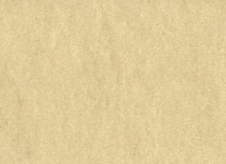 Jak zdobyć certyfikat trenera?