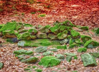 Co to ugrupowanie integracyjne? Co to ugrupowanie integracyjne?