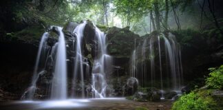 Ile wynosi przybliżona wartość rocznego przepływu inwestycji w formie BIZ?