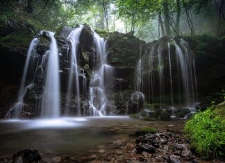 Ile wynosi przybliżona wartość rocznego przepływu inwestycji w formie BIZ? Ile wynosi przybliżona wartość rocznego przepływu inwestycji w formie BIZ?