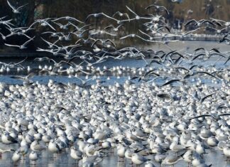 Czy Działki będą drożeć 2023? Czy Działki będą drożeć 2023?