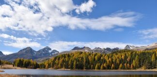 Czy opieką nad osoba niepełnosprawną wlicza się do stażu pracy?