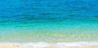 Jak wygląda idealne CV?