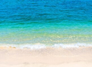 Jak wygląda idealne CV?