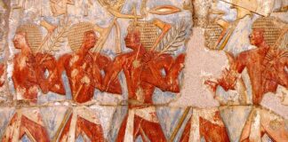 Jakie ulgi dla osób z orzeczeniem o niepełnosprawności?