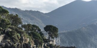 Ile kosztuje wyplata z XTB?