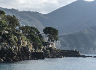 Ile kosztuje wyplata z XTB?