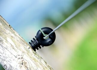 Ile Polaków w wieku 25 34 lat posiada wykształcenie wyższe?