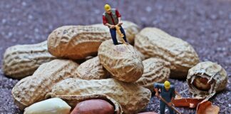 Ile godzin pracują informatycy?