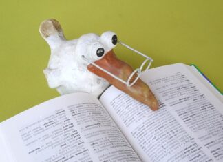 Jak opisać języki w CV? Jak opisać języki w CV?