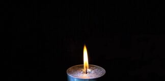 Na czym polega metoda case study?