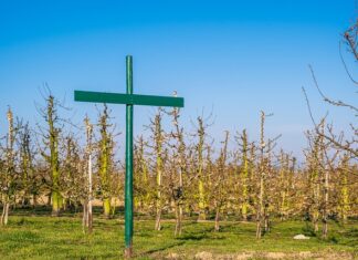 Czy regulamin pracy zdalnej jest obowiązkowy 2023? Czy regulamin pracy zdalnej jest obowiązkowy 2023?