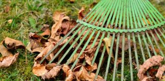 Ile prowizji pobiera XTB?