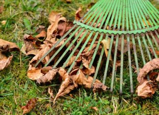 Ile prowizji pobiera XTB?