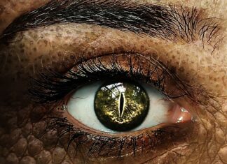 Jakie działania podejmowane są wobec ucznia posiadającego orzeczenie o potrzebie kształcenia specjalnego?