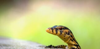 Jak monitorować swoje inwestycje?