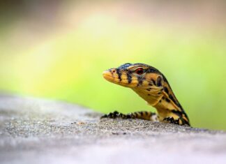 Jak monitorować swoje inwestycje? Jak monitorować swoje inwestycje?