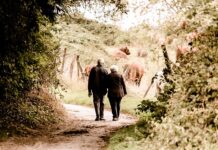 Ile wynosi emerytura po 50 latach pracy?