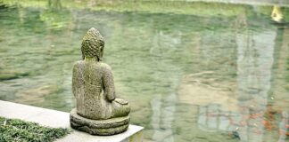 Ile kosztuje instalacja Grenton?