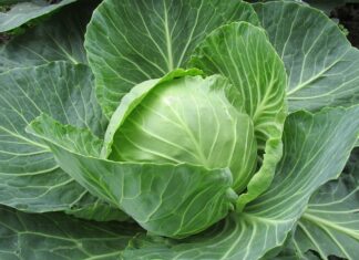 Co to jest margin na Forex?