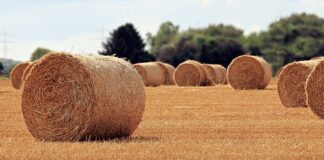 Jaka jest rola i miejsce systemu operacyjnego?