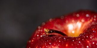 Jakie korzyści ma pracodawca zatrudniając osoby niepełnosprawne?